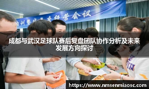 成都与武汉足球队赛后复盘团队协作分析及未来发展方向探讨